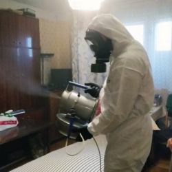 Дезинфекция от клопов в Духовщине