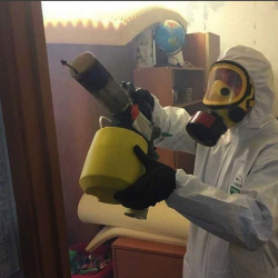 Уничтожение клопов в квартире. Духовщина